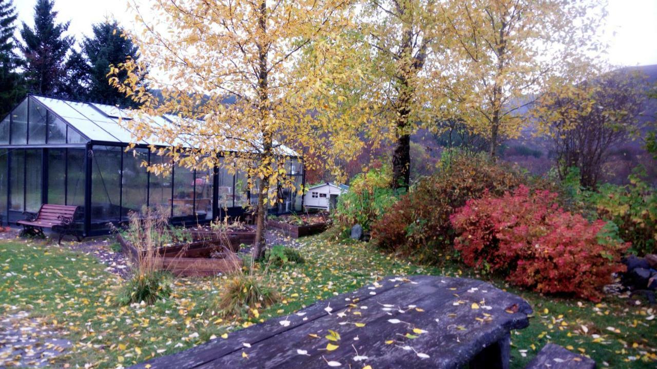 Art Studio Сортланн Экстерьер фото